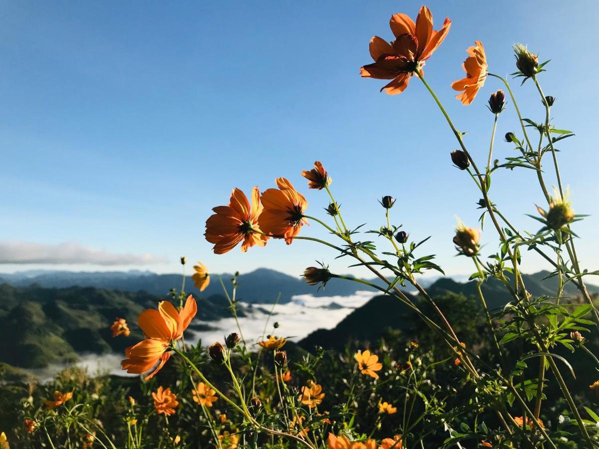 Vuon Tren May - Skyline Farm & Homestay Moc Chau Bagian luar foto