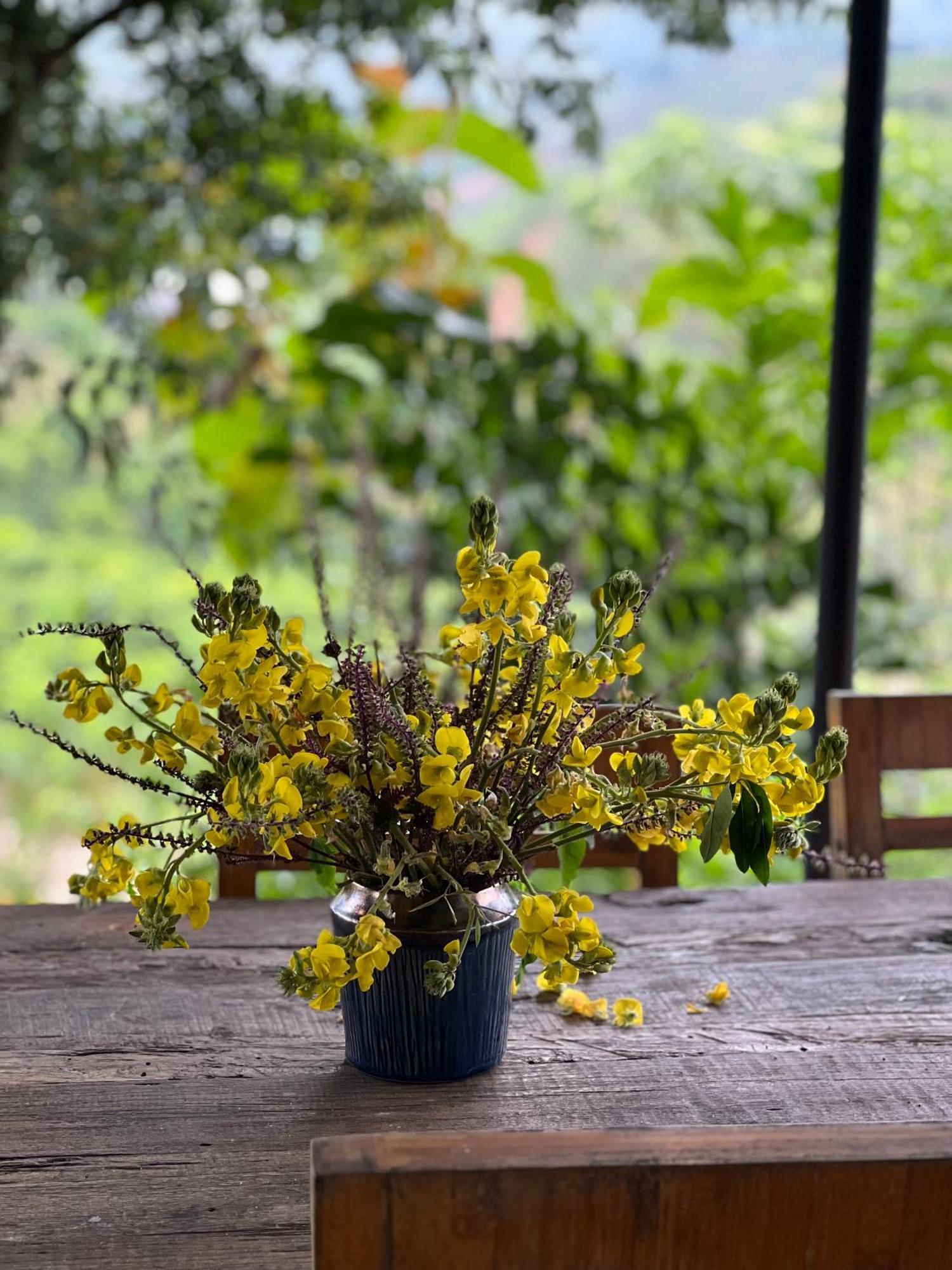 Vuon Tren May - Skyline Farm & Homestay Moc Chau Bagian luar foto